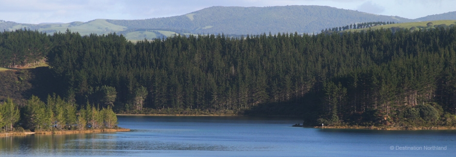 beautiful views of Dargaville, New Zealand